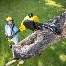 Best Aeration Services  in Buellton, CA